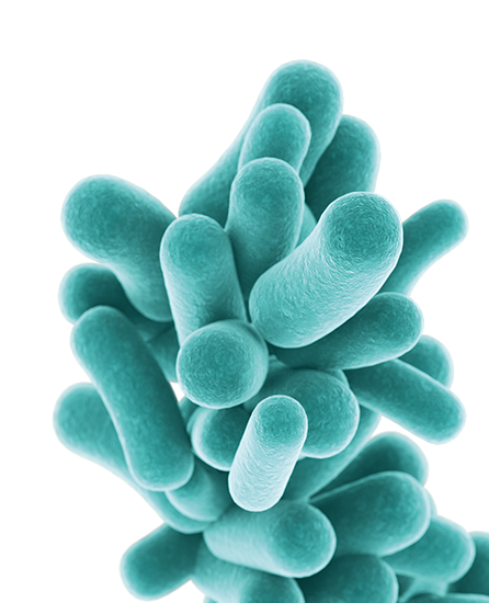 Probióticos y dermatitis atópica